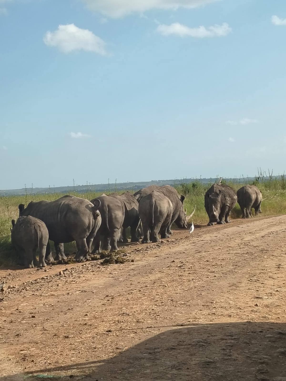 4 Giorni - Maasai Mara e Lago Nakuru