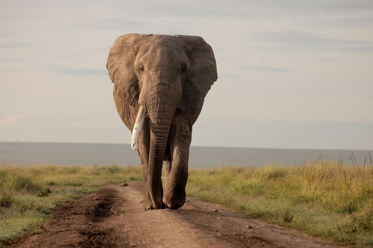 Kenya